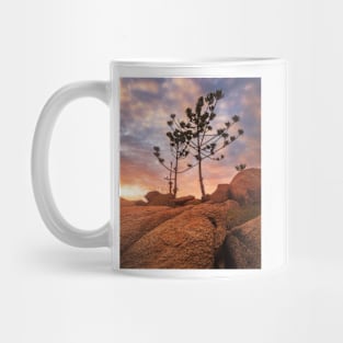 Trees In Light Mug